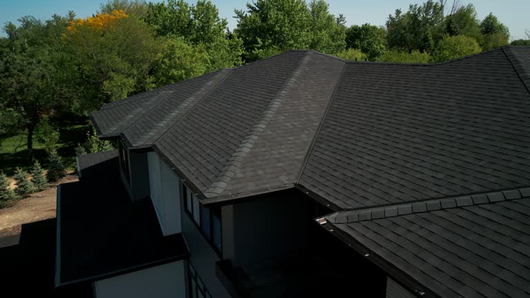 Best Roof Moss and Algae Removal  in Pleasant Hills, OH